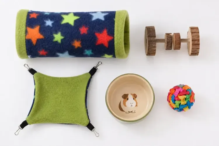 Guinea pig accessories laid out including a fleece tunnel, chew toys, and a hammock