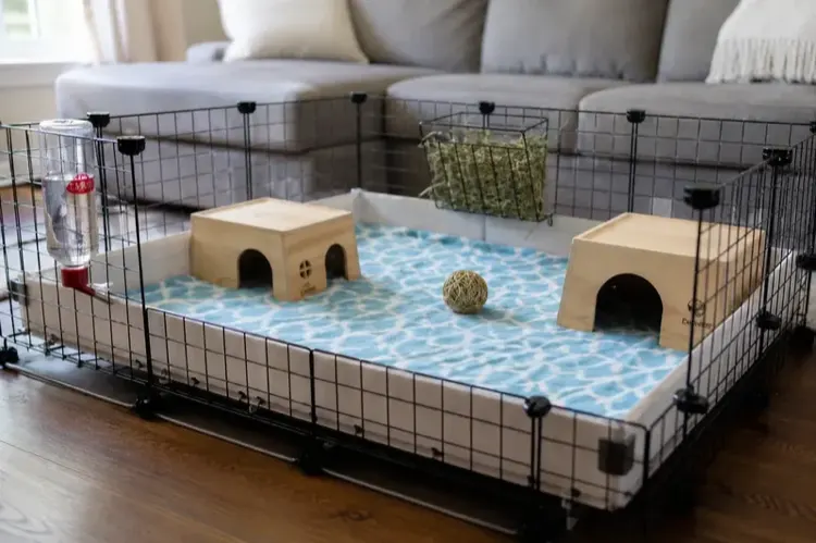 Spacious C&C guinea pig cage with fleece liners and wooden hidey houses