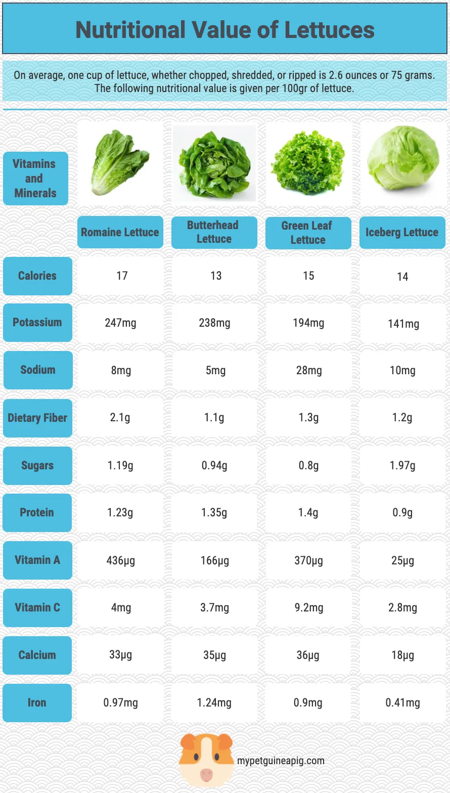 Nutritional Value of Different Lettuces