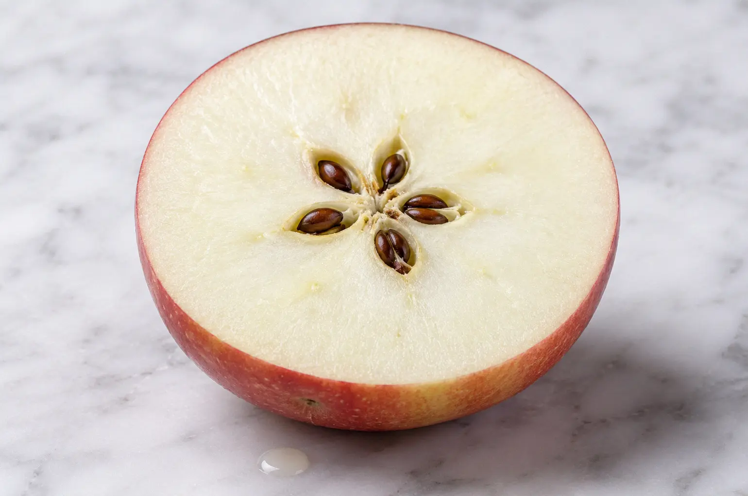 Apple core and seeds that must be removed before feeding to guinea pigs
