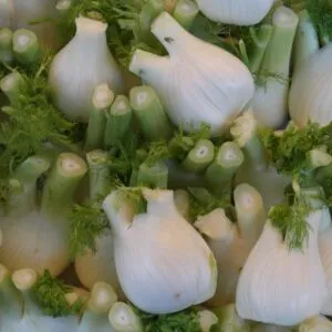 a pile of fennel bulbs with fronds