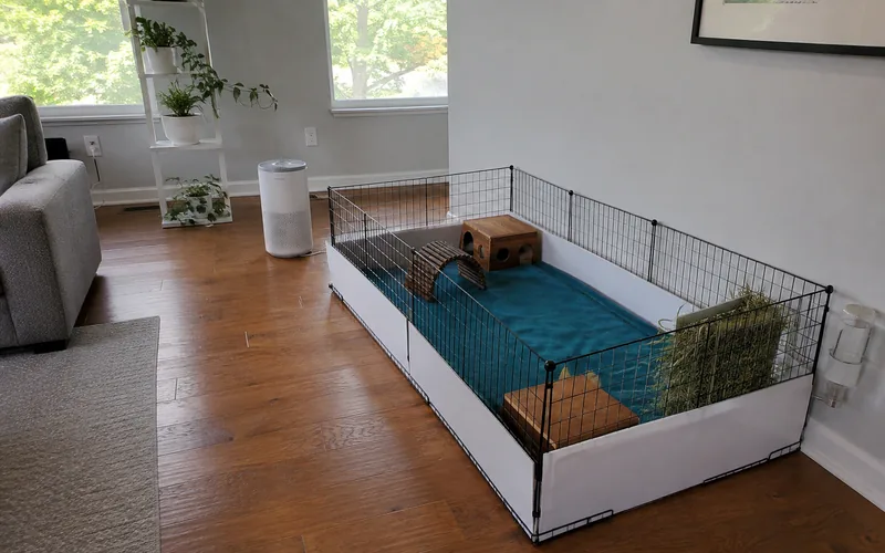 Guinea pig cage set up in a well-ventilated living room away from soft furniture