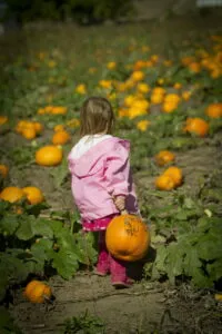 girl carrying a pumpkin in a pumpkin field
