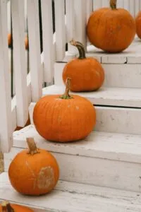 pumpkins on stairs