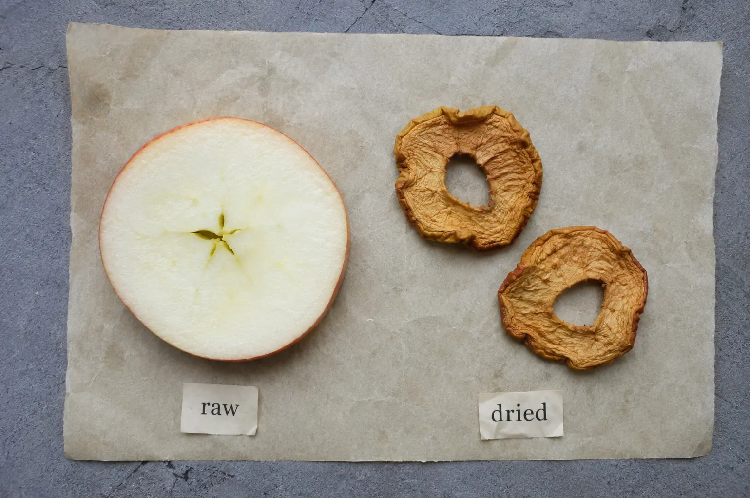 Raw apple slice compared to dried apple rings unsafe for guinea pigs