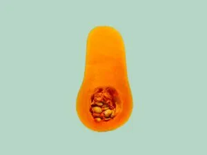 squash cut in half