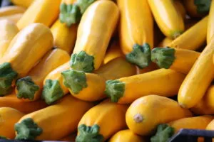 many unprepared, unpeeled yellow squashes