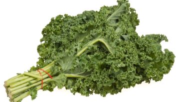 can guinea pigs eat kale