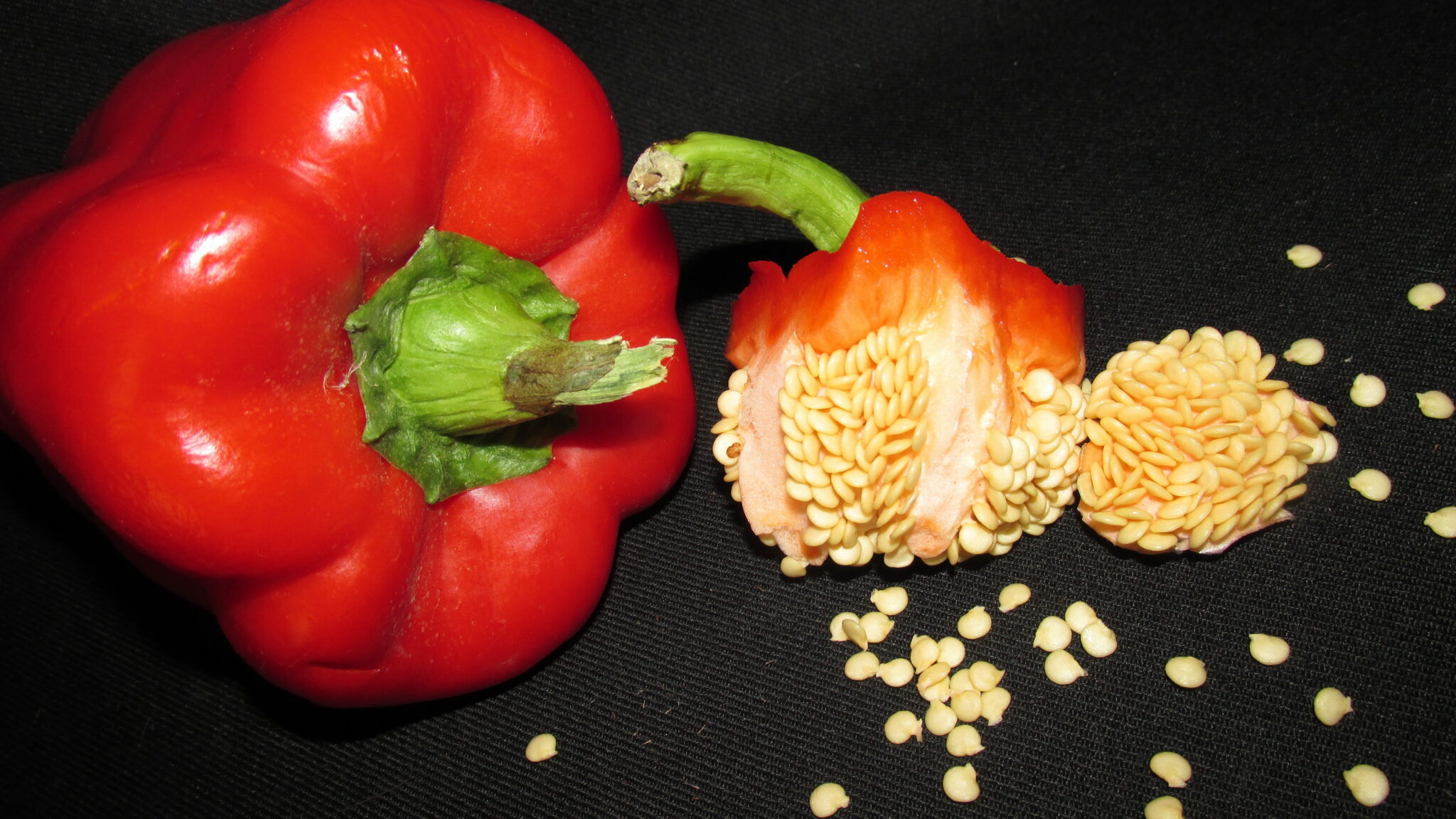 Can Guinea Pigs Eat Orange Peppers? (Serving Size & More)