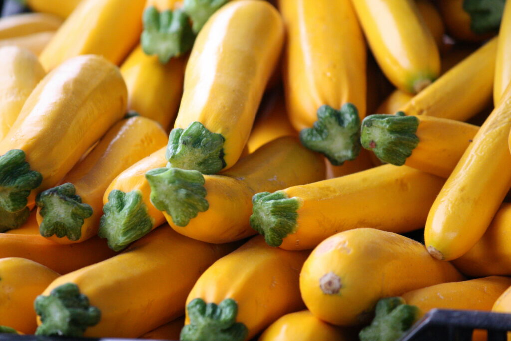 Can Guinea Pigs Eat Zucchini? (Serving Size, Hazards & More)